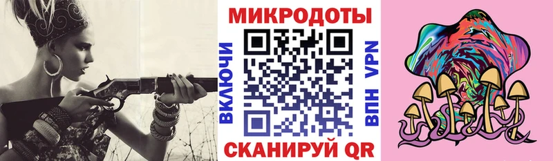MEGA онион  Белёв  Псилоцибиновые грибы Psilocybine cubensis 