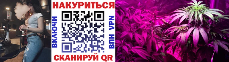 наркота  Белёв  Конопля сатива 